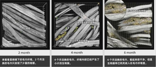 的同面料毛巾！我们低价搞到了开元棋牌app某东来刚上架(图3)