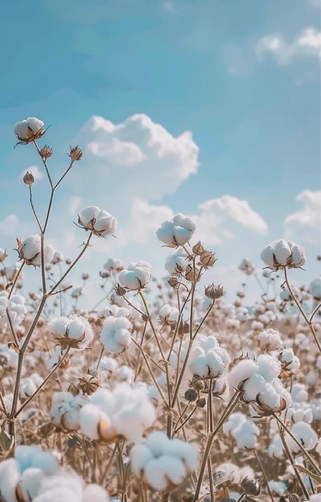 的同面料毛巾！我们低价搞到了开元棋牌app某东来刚上架(图6)